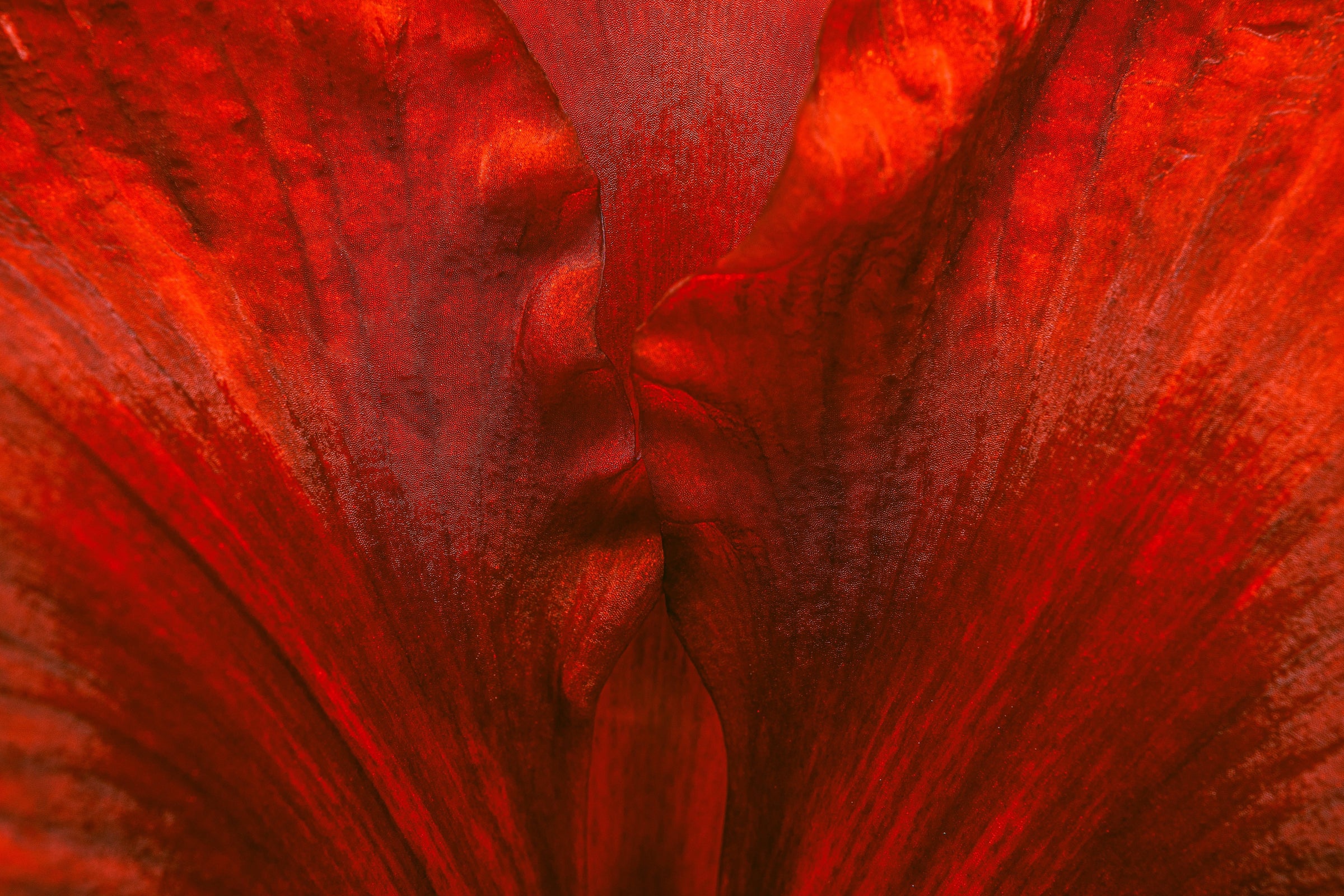 Root Chakra