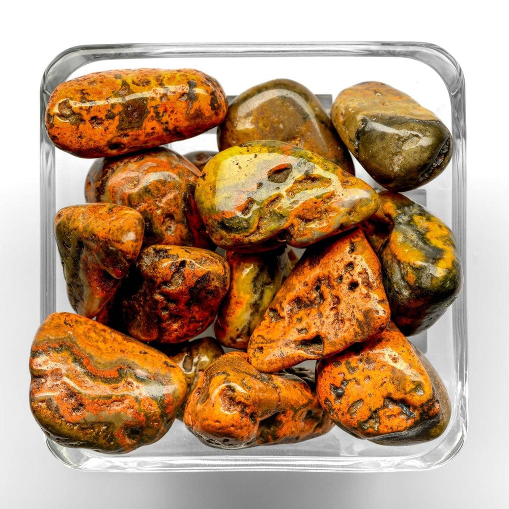 Bumble Bee Jasper - Tumbled Stone - Small