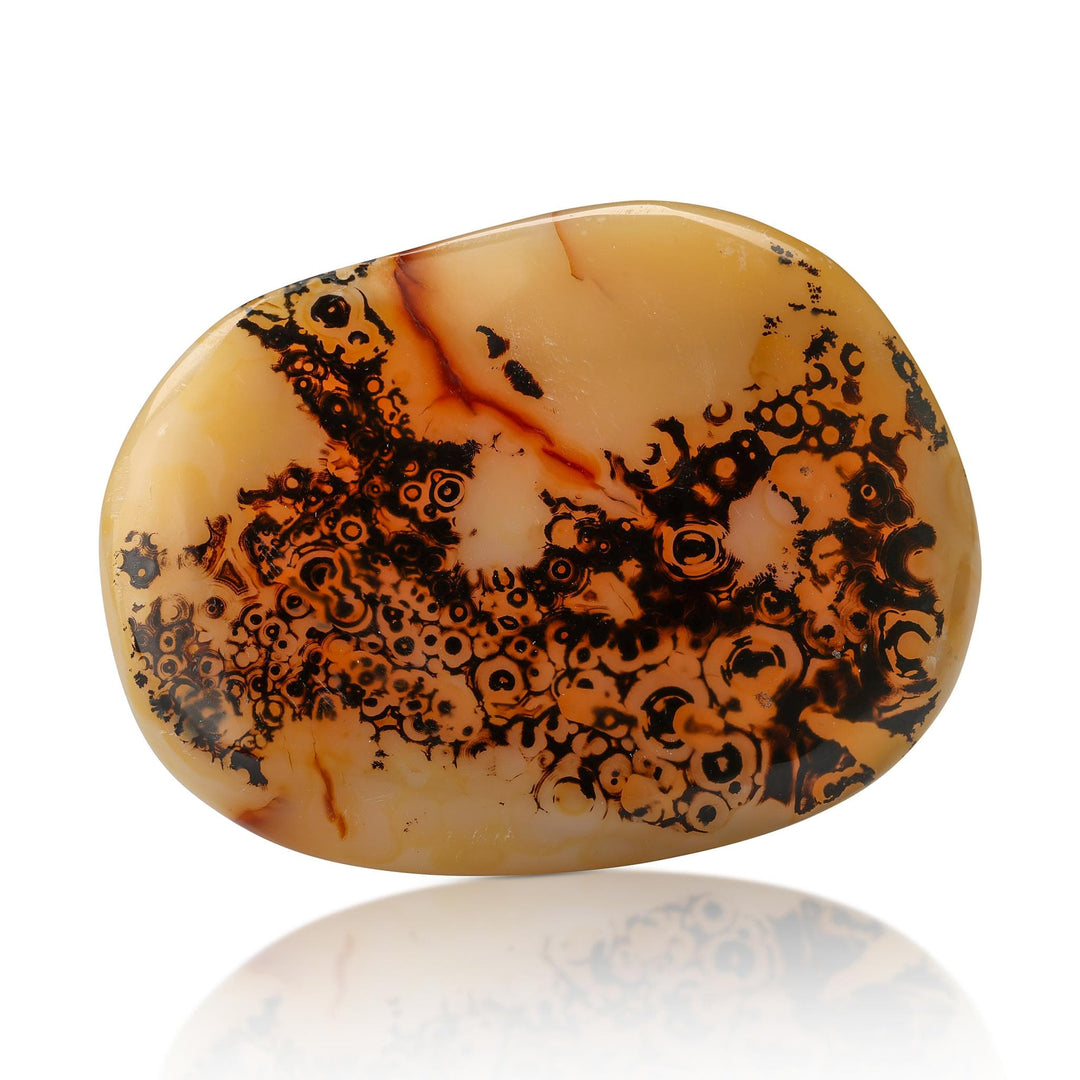 Dendritic Opal Palm Stone
