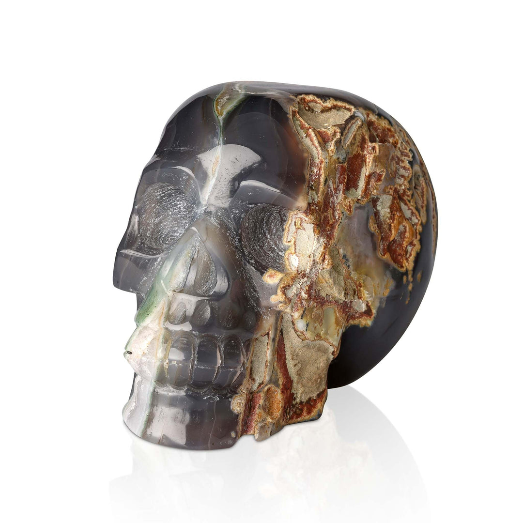 Drusy Agate Skull