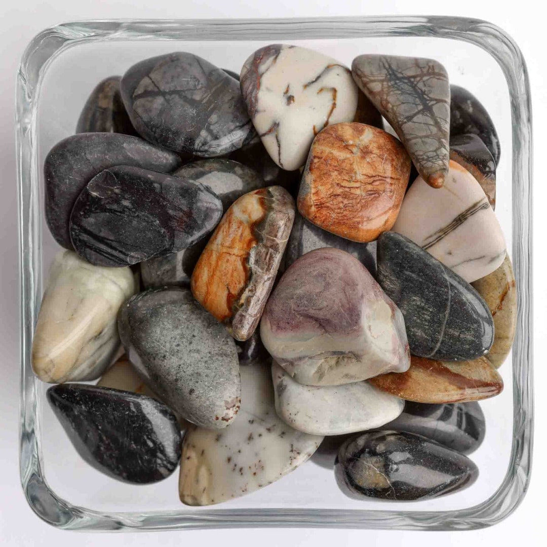 Picasso Stone Tumbled Stone