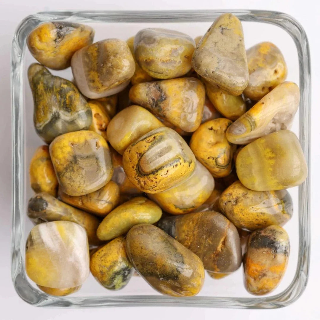 Bumble Bee Jasper - Tumble Stone - Small