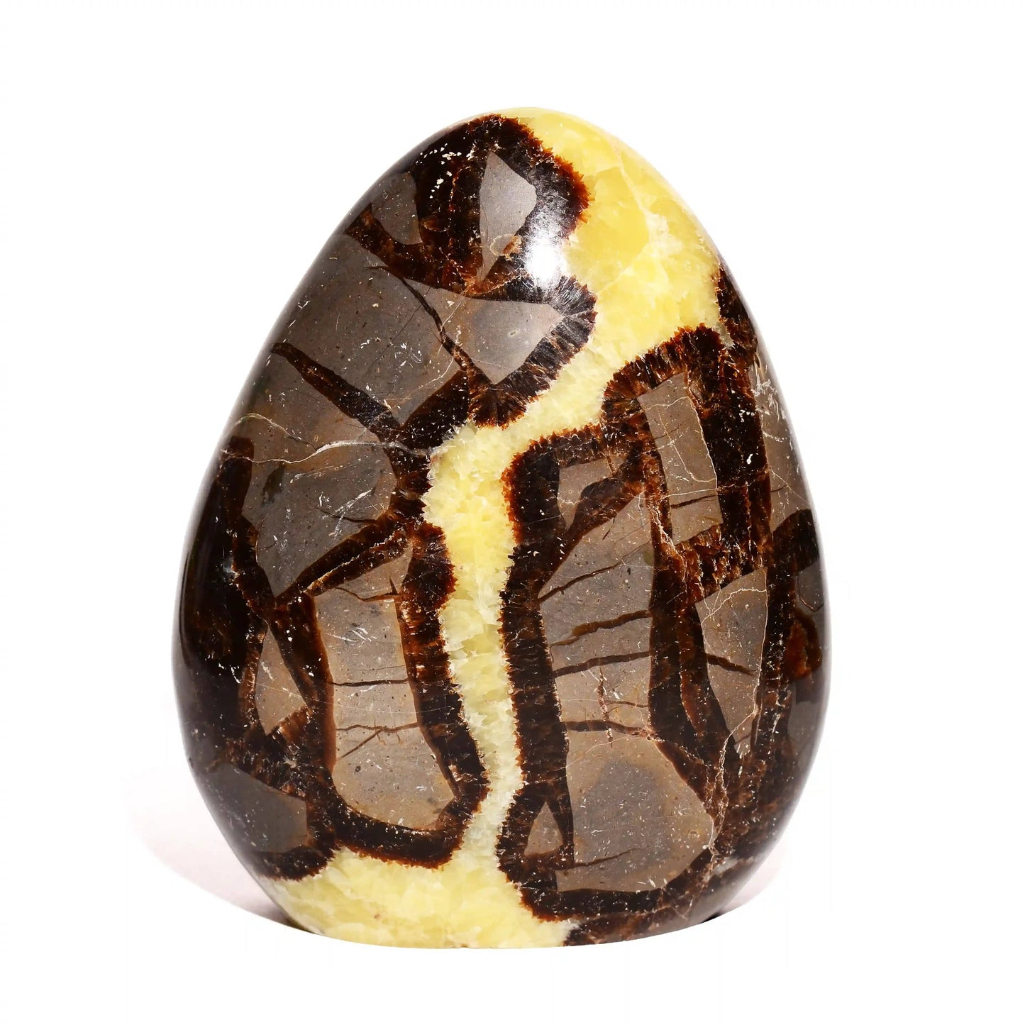Septarian Nodule Free Form - Polished - Flat Base