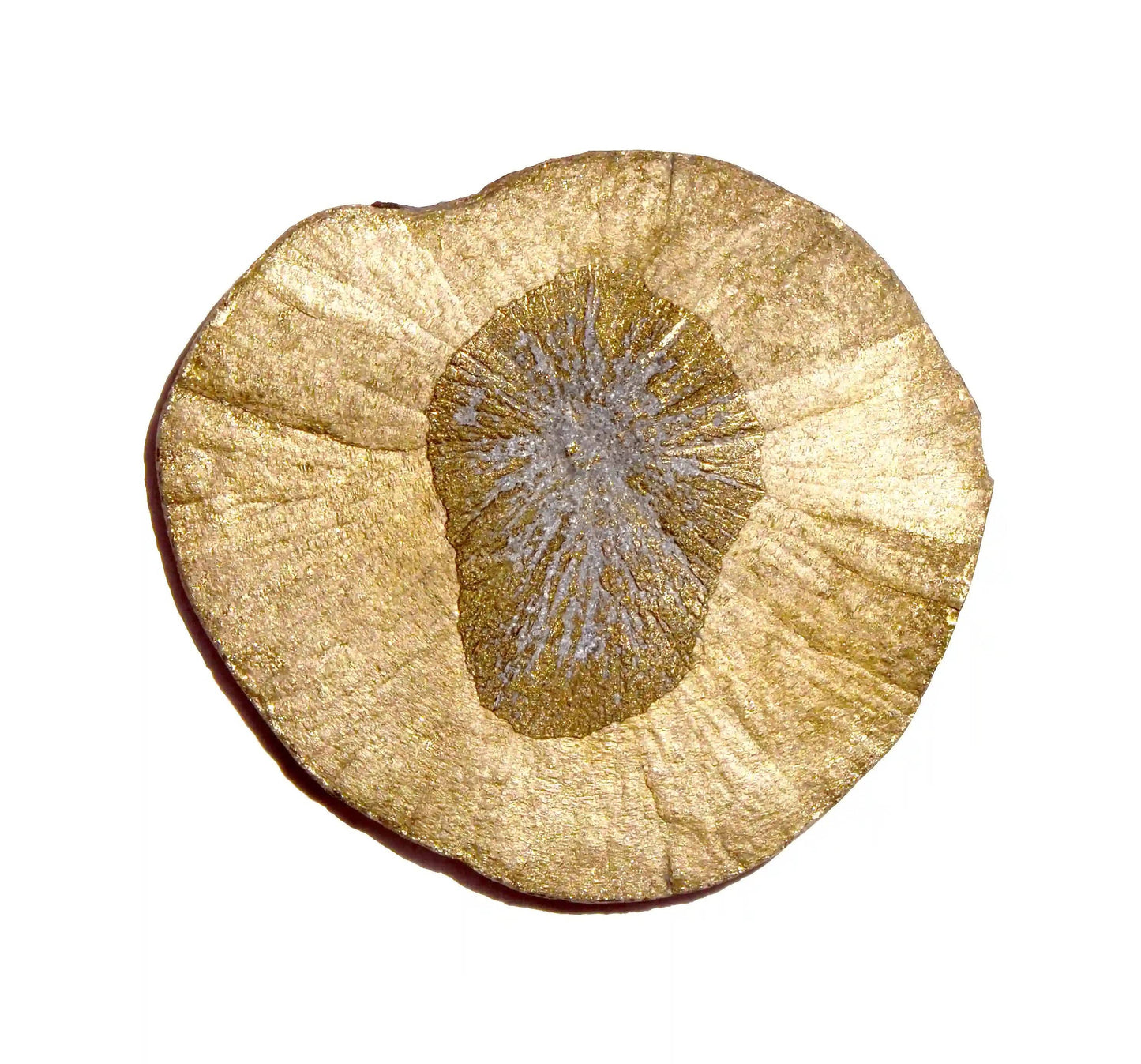 Pyrite Sun Disk