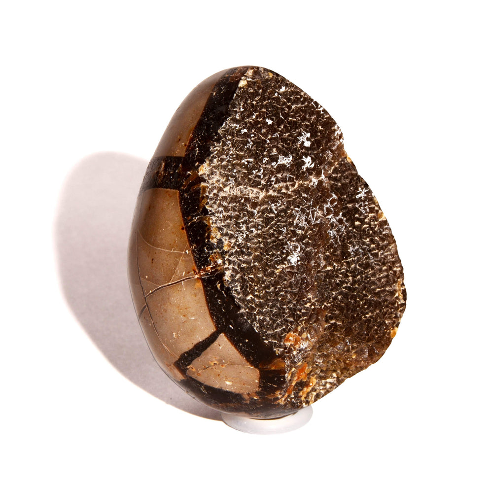 Septarian Nodule Egg