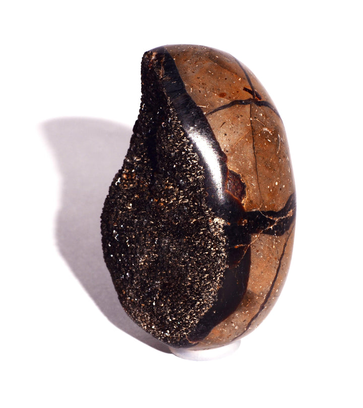 Septarian Nodule Egg