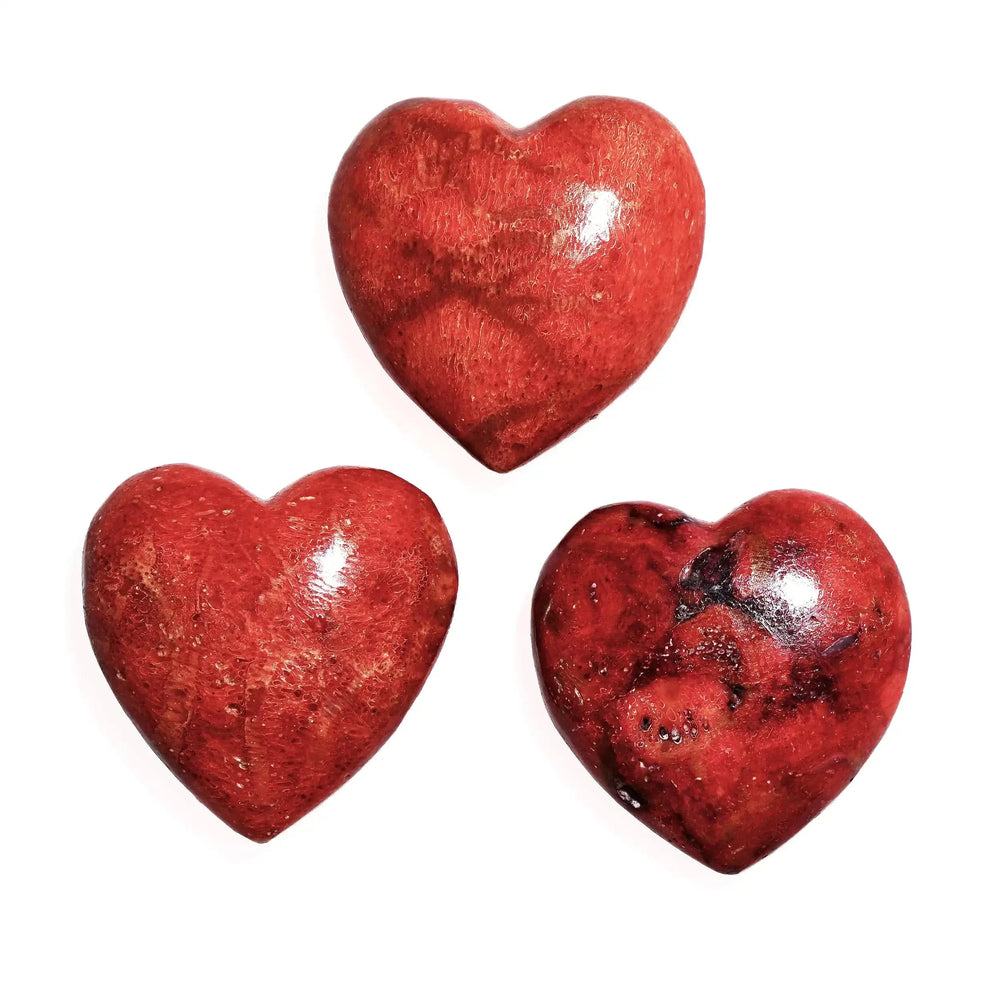 Buy Coral as an excellent tool for increasing one’s connection with their inner-child.