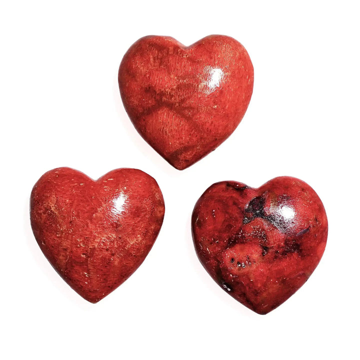 Buy Coral as an excellent tool for increasing one’s connection with their inner-child.