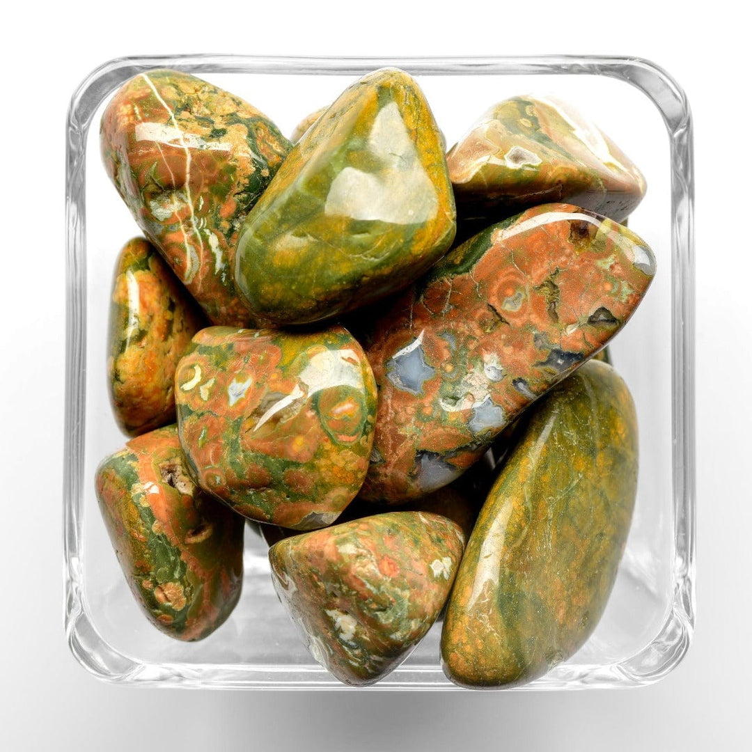 Rainforest Rhyolite Tumbled Stone - Polished
