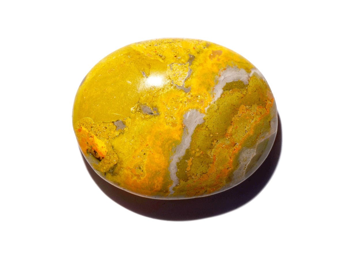 Bumble Bee Jasper - Palm Stone - Polished