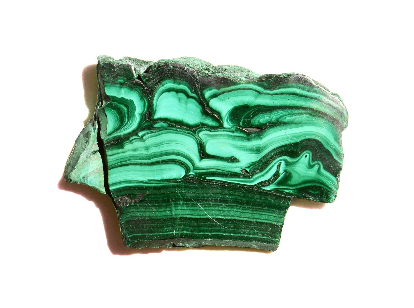 Malachite Slice - Polished