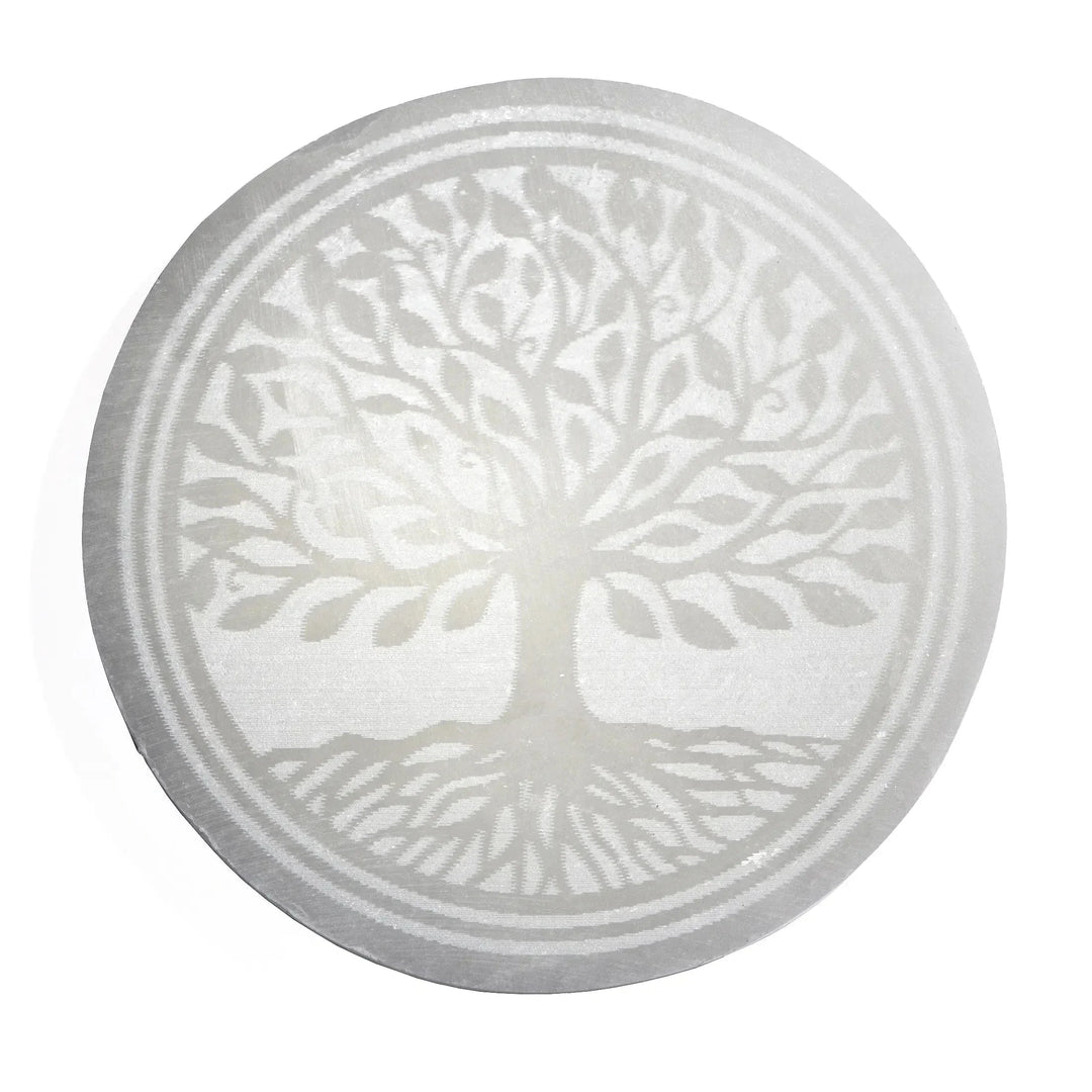 Charging Plate