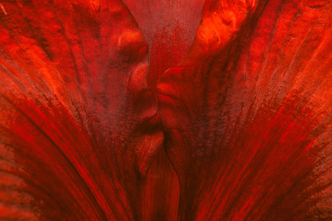 Root Chakra