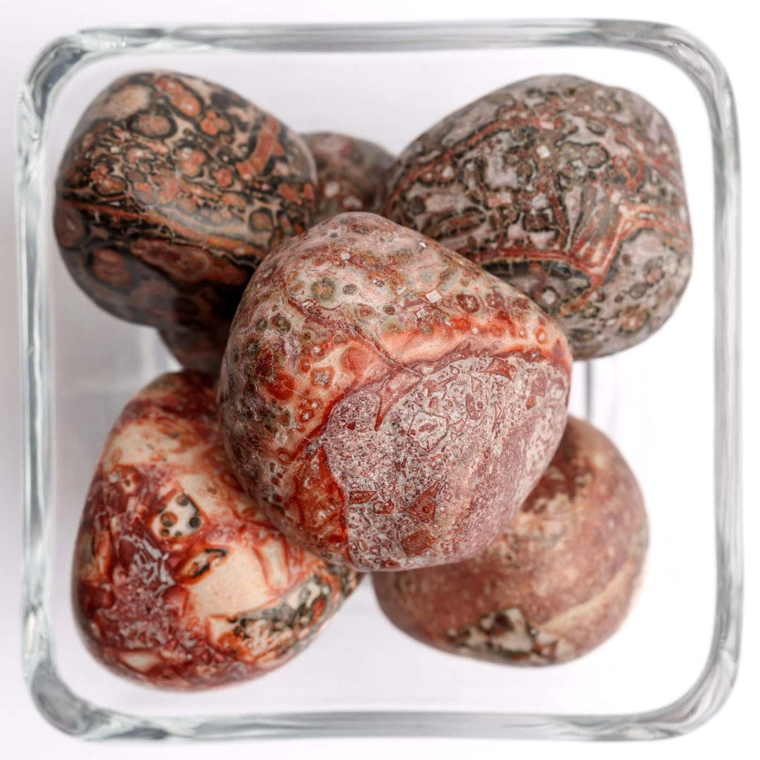 Leopard Skin Jasper Tumbled Stone - Polished