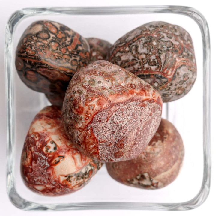 Leopard Skin Jasper Tumbled Stone - Polished