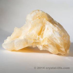 Angel Wing Calcite- Raw Form