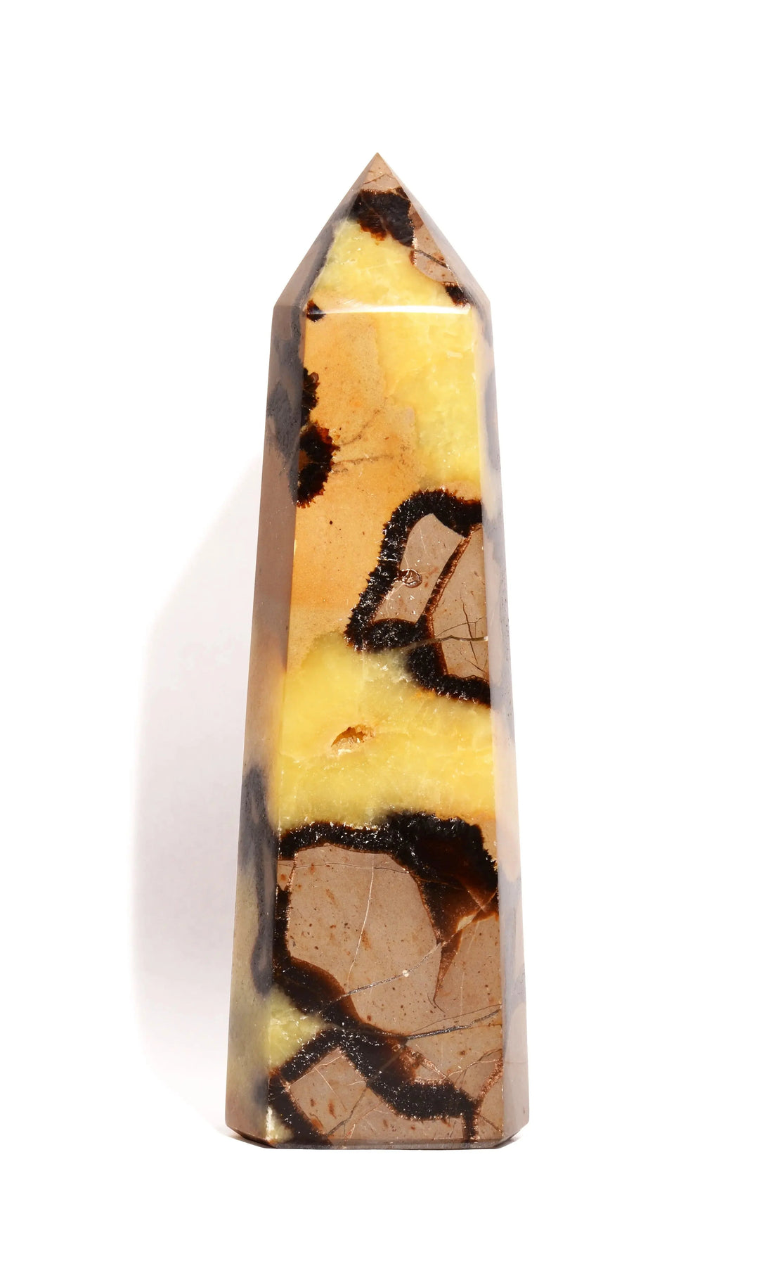Septarian Nodule Point - Flat Base - Polished
