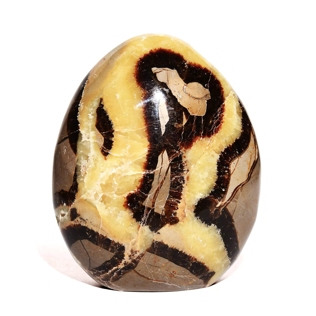 Septarian Nodule Free Form - Polished - Flat Base