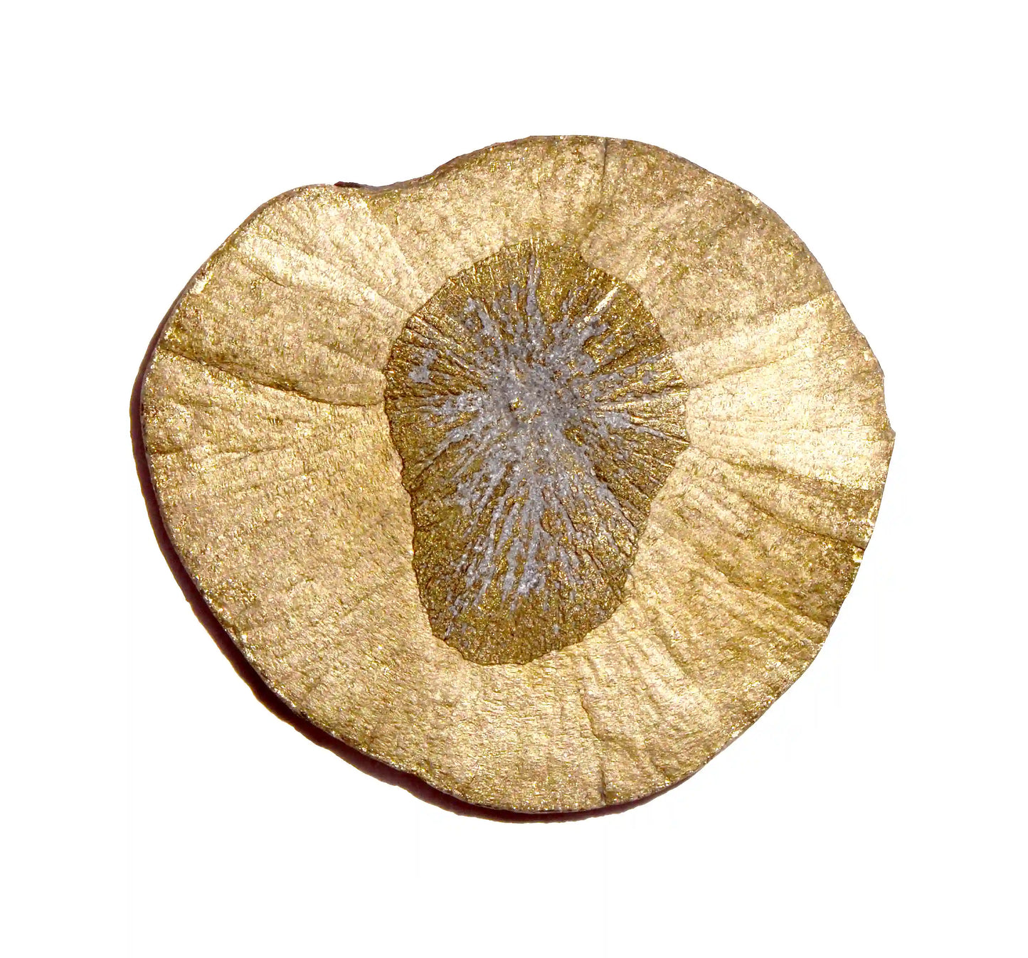 Pyrite Sun Disk