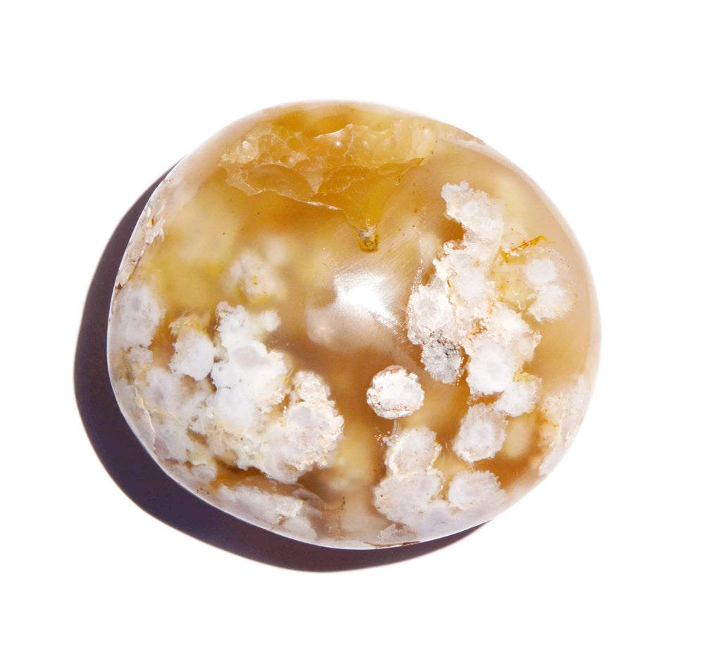 Flower Agate Palm Stone - Polished