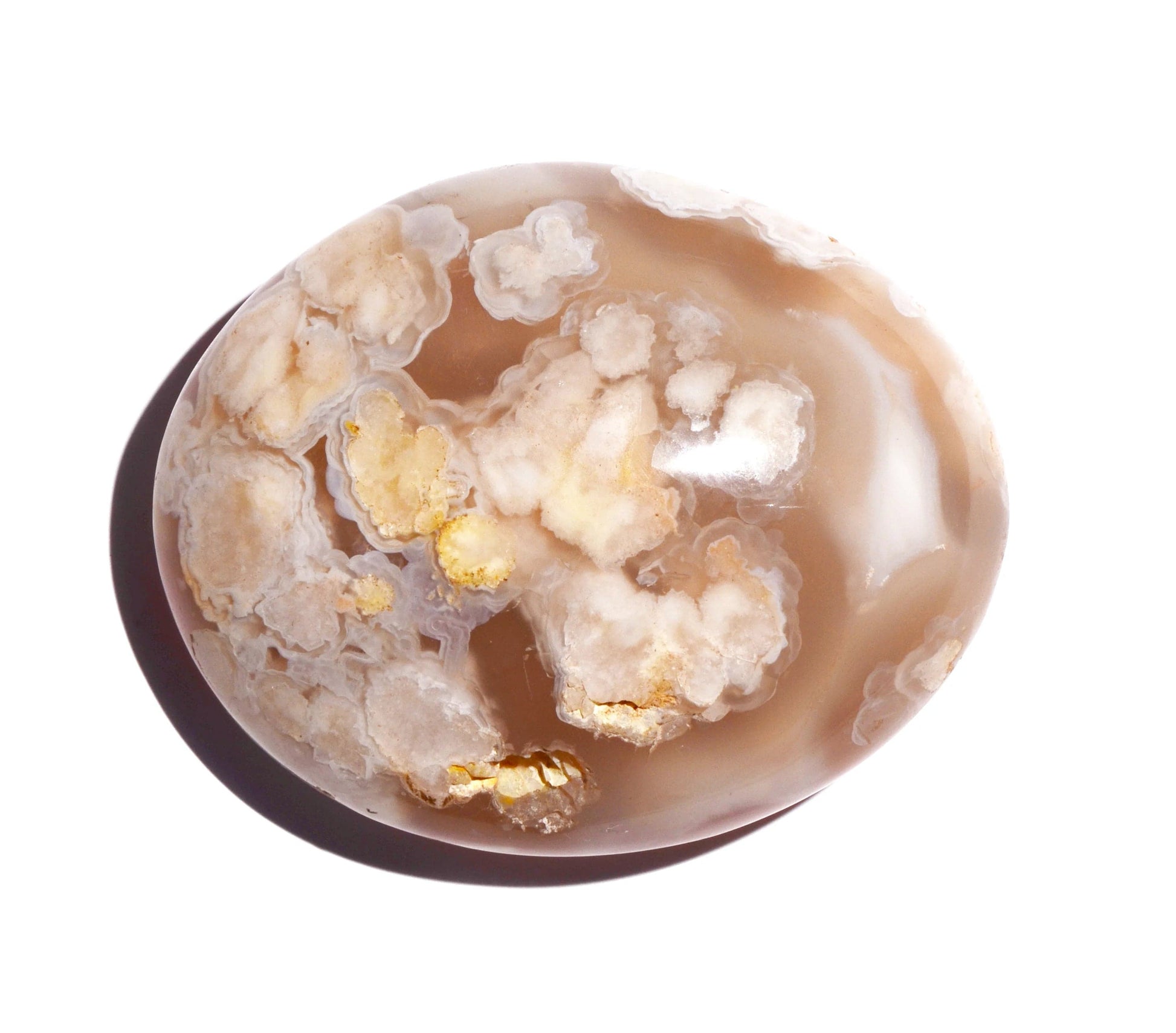 Flower Agate Palm Stone - Polished