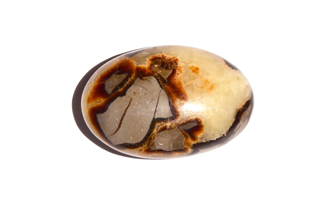 Septarian Nodule Palm Stone - Polished