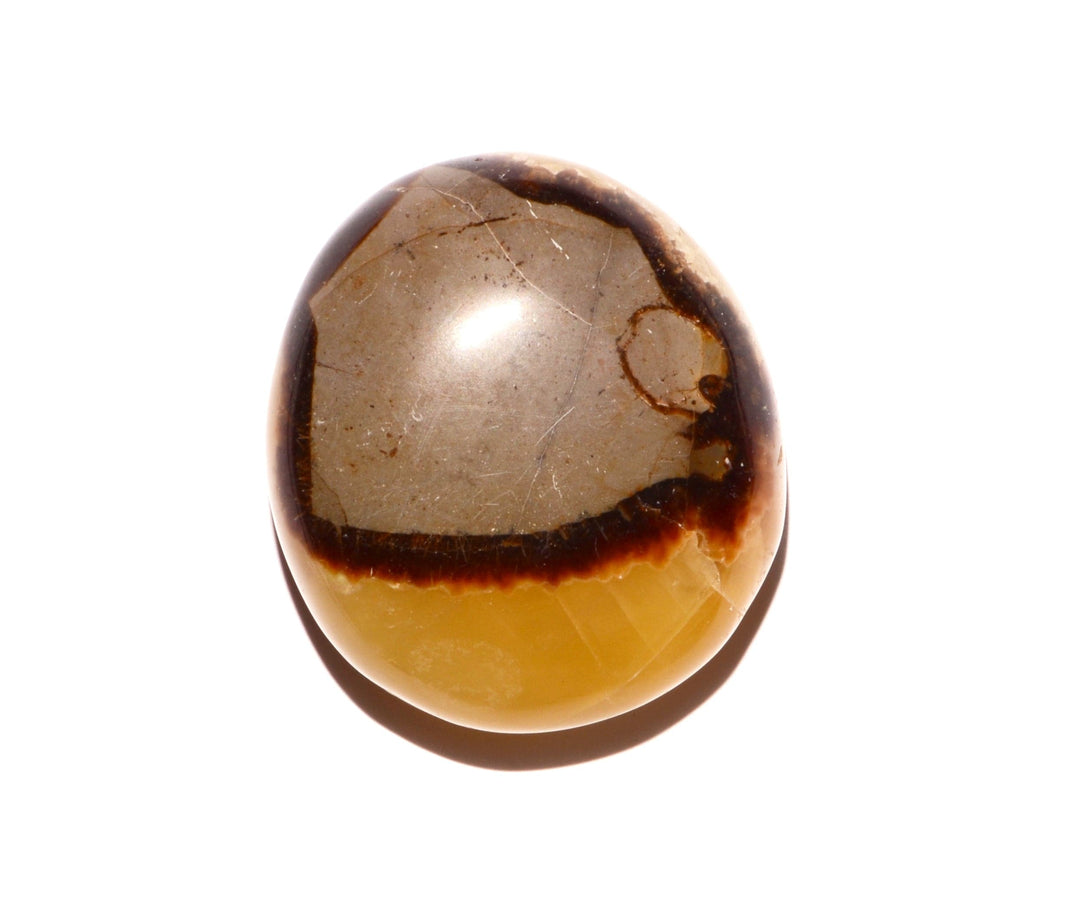 Septarian Nodule Palm Stone - Polished