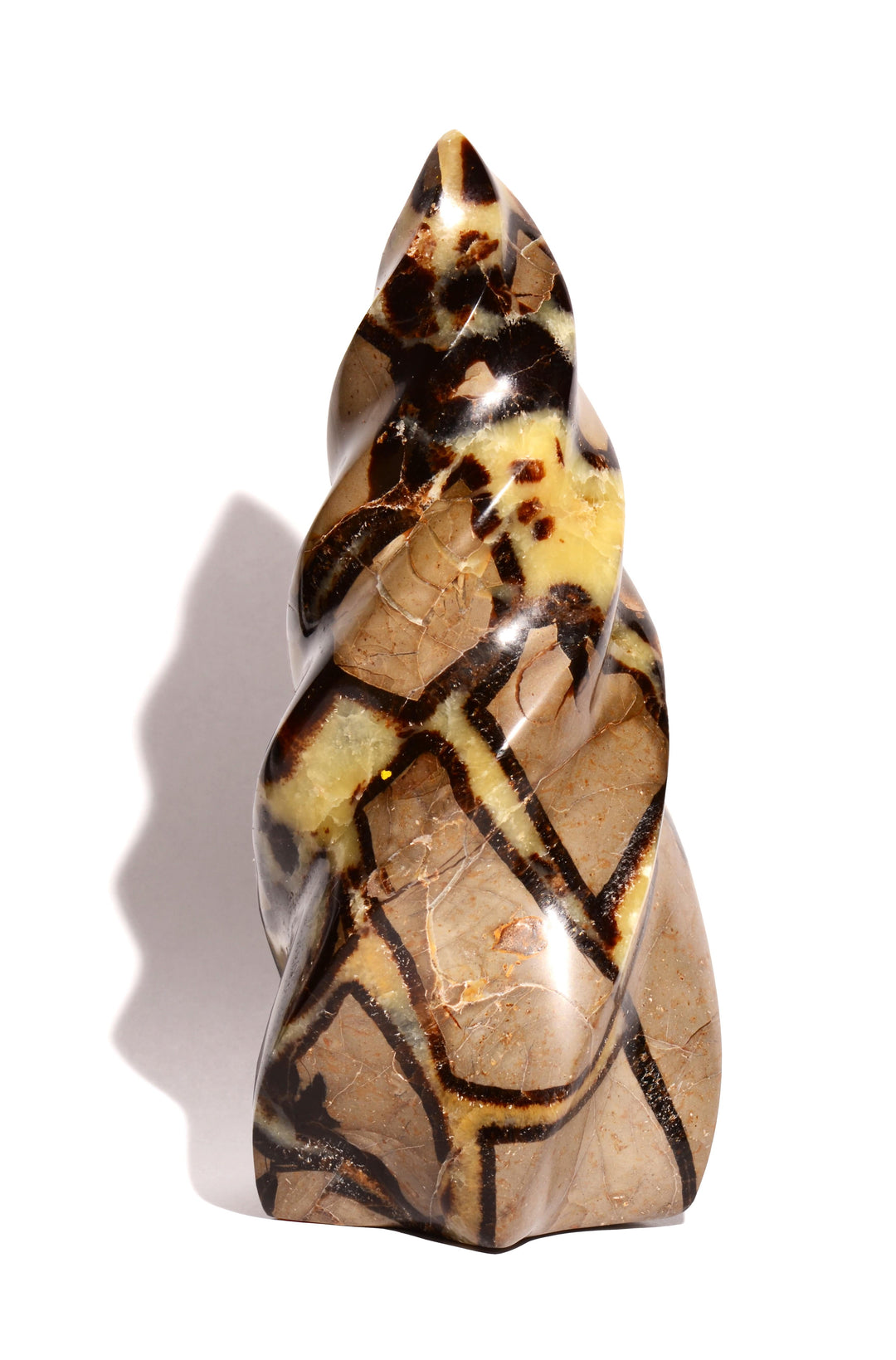 Septarian Nodule Free Form - Flame - Polished - Crystal Carving