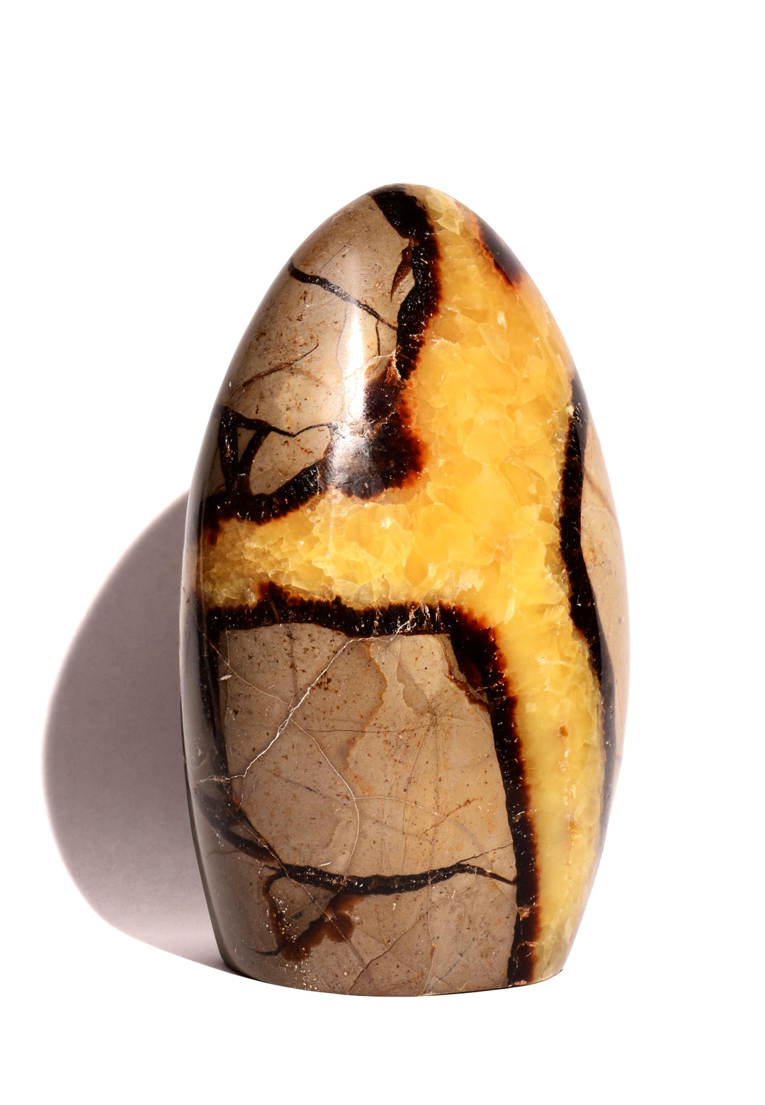 Septarian Nodule Polished Form - Flat Base