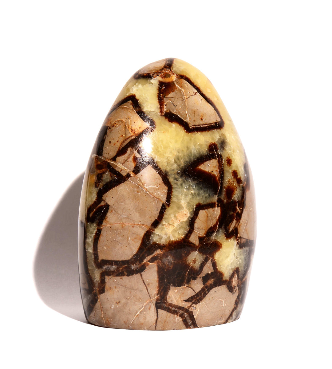 Septarian Nodule Polished Form - Flat Base