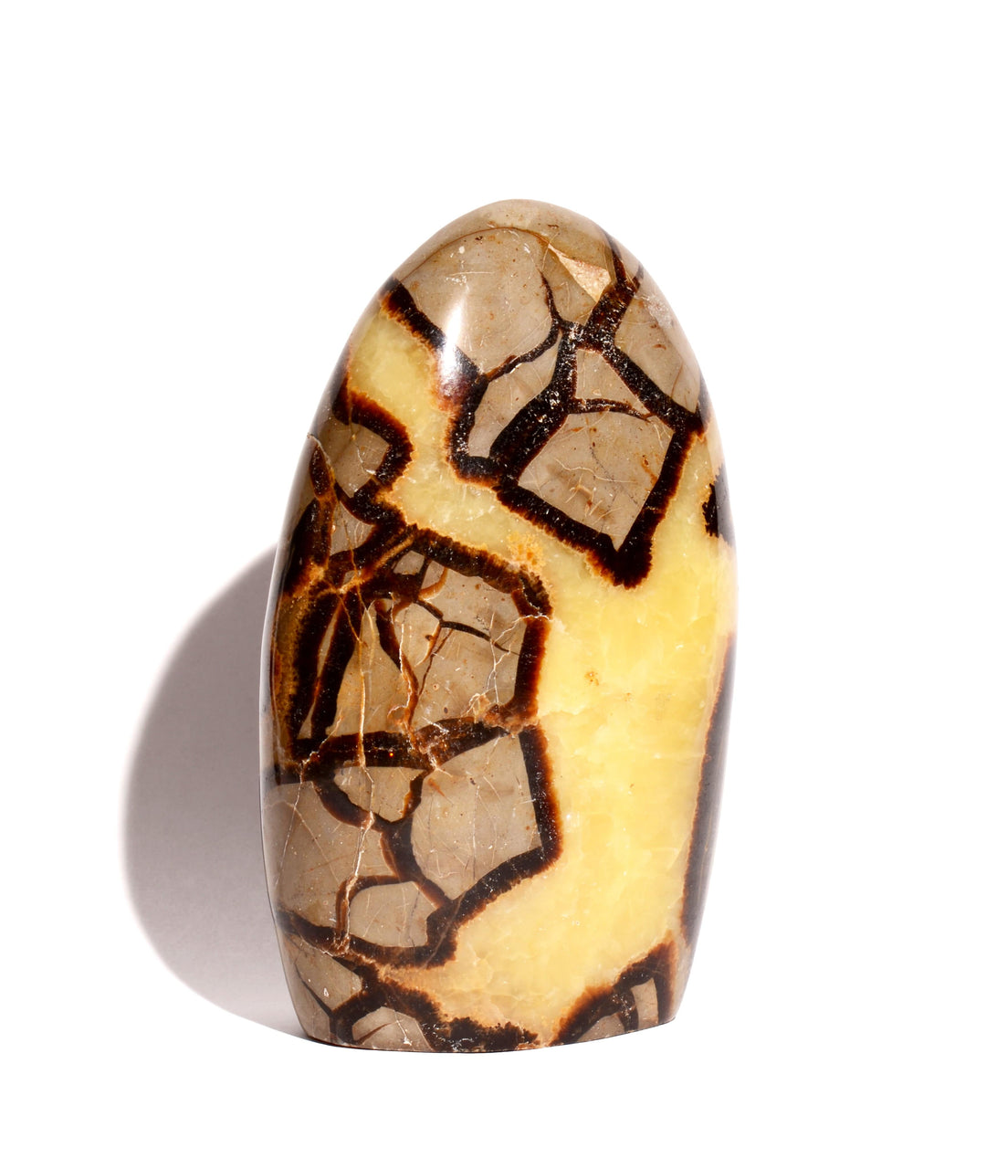 Septarian Nodule Polished Form - Flat Base