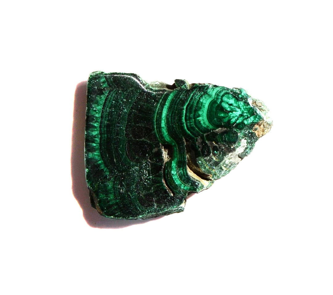 Malachite Slice - Polished