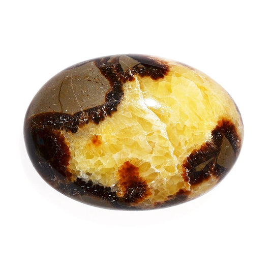 Buy Septarian Nodule for the stone of ancient wisdom.