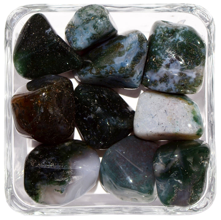 Green Moss Agate Tumbled Stone - Small