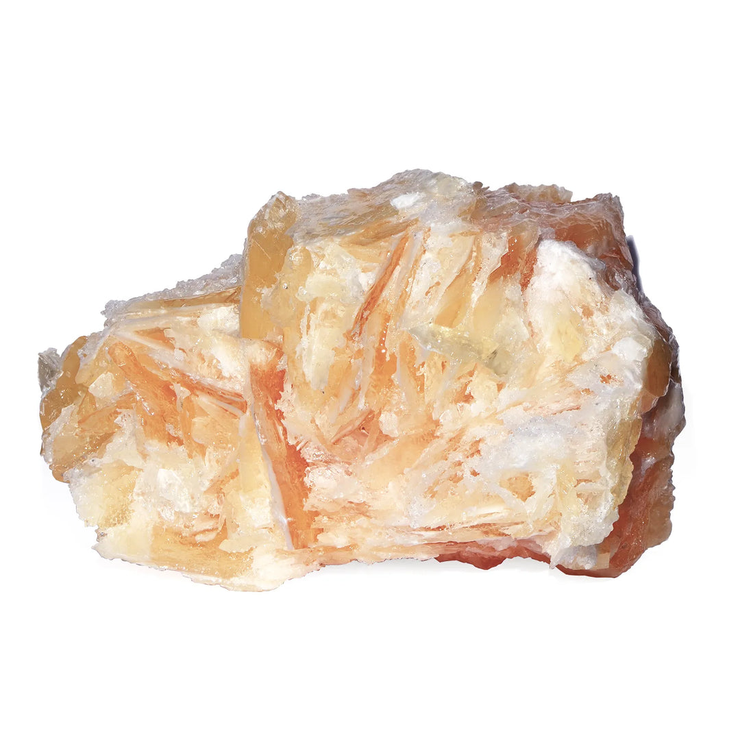 Angel Wing Calcite - Raw Form