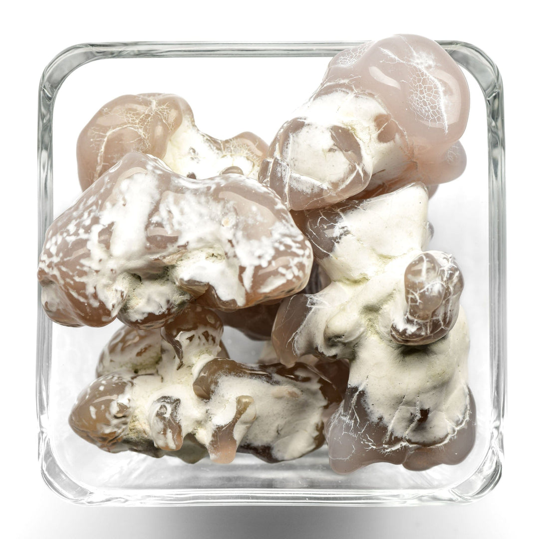 Snakeskin Agate Tumbled Stone - Polished