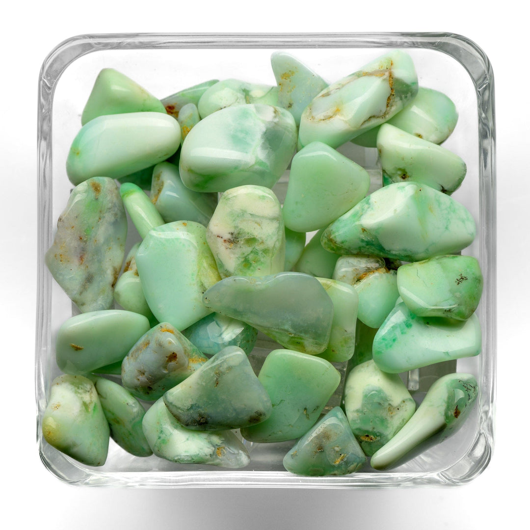Chrysoprase Tumbled Stone - Polished - Small