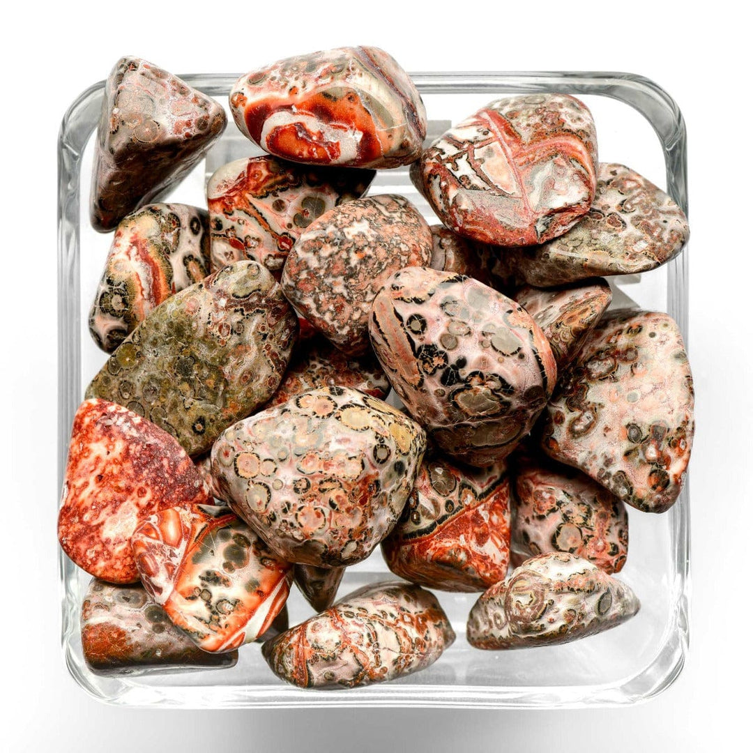 Leopard Skin Jasper Tumbled Stone - Small - Polished