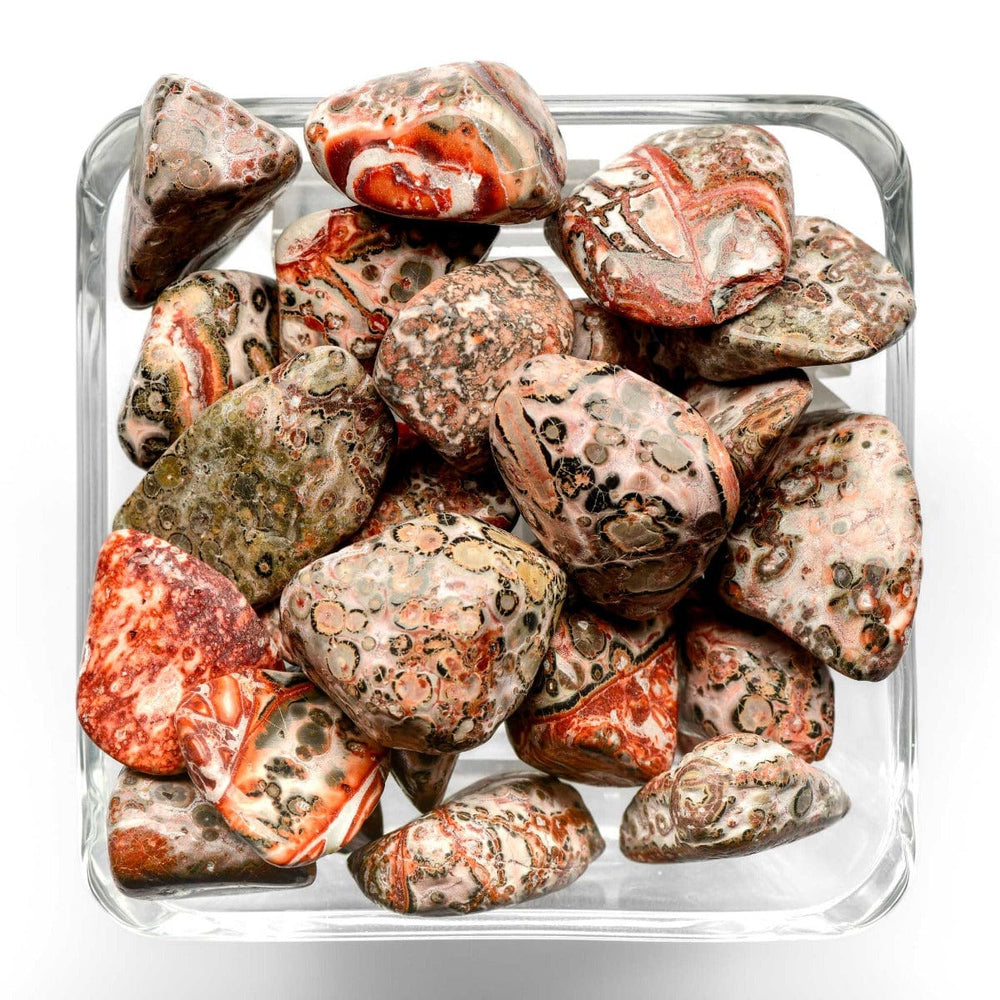 Leopard Skin Jasper Tumbled Stone - Small - Polished