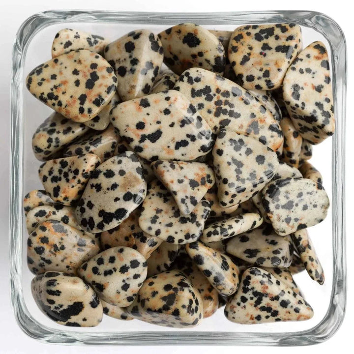 Dalmation Jasper Tumbled Stone - Small - Polished