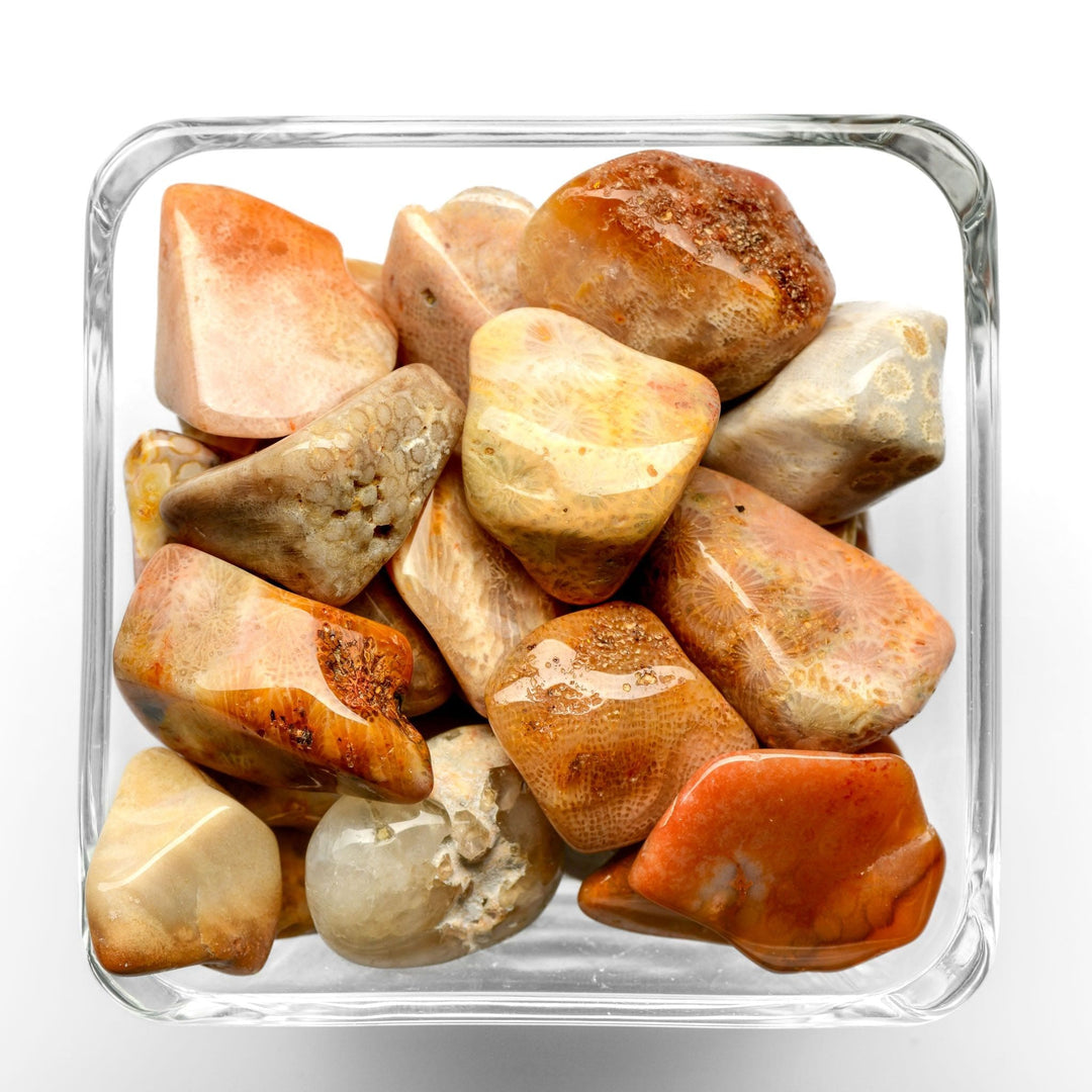 Coral Tumbled Stone - Small Stone - Polished