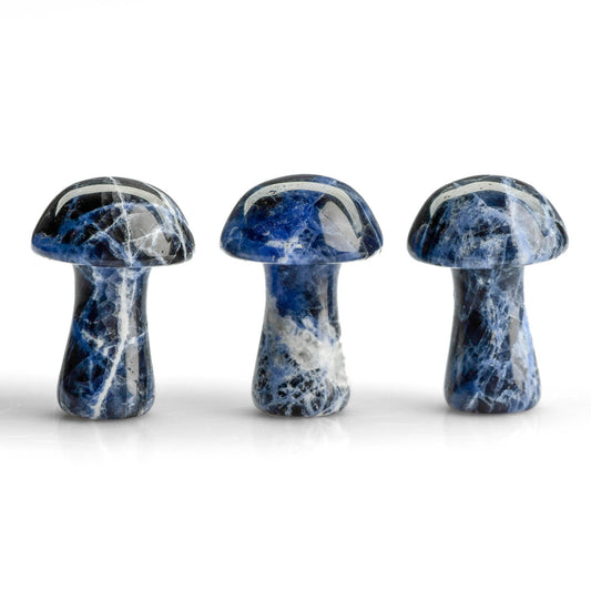 Sodalite Crystal Carving - Mushroom - Polished