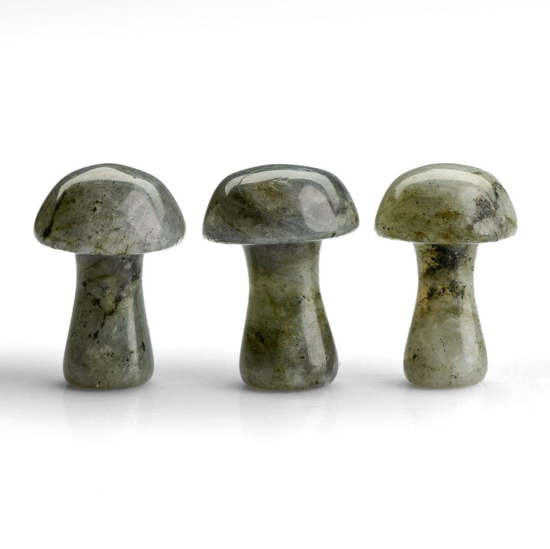 Labradorite Crystal Carving - Mushroom