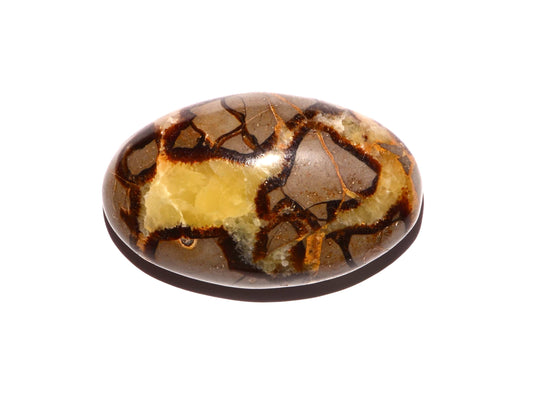 Septarian Nodule Palm Stone - Polished