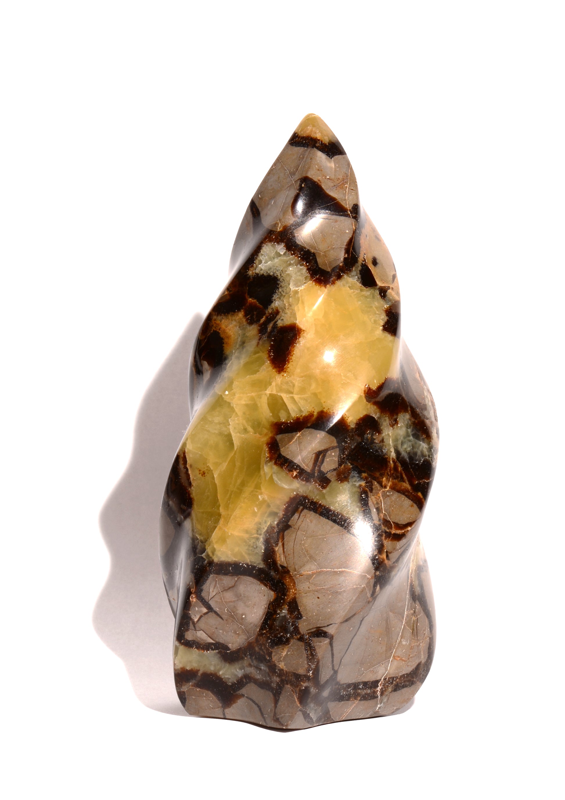 Septarian Nodule Free Form - Flame - Polished - Crystal Carving