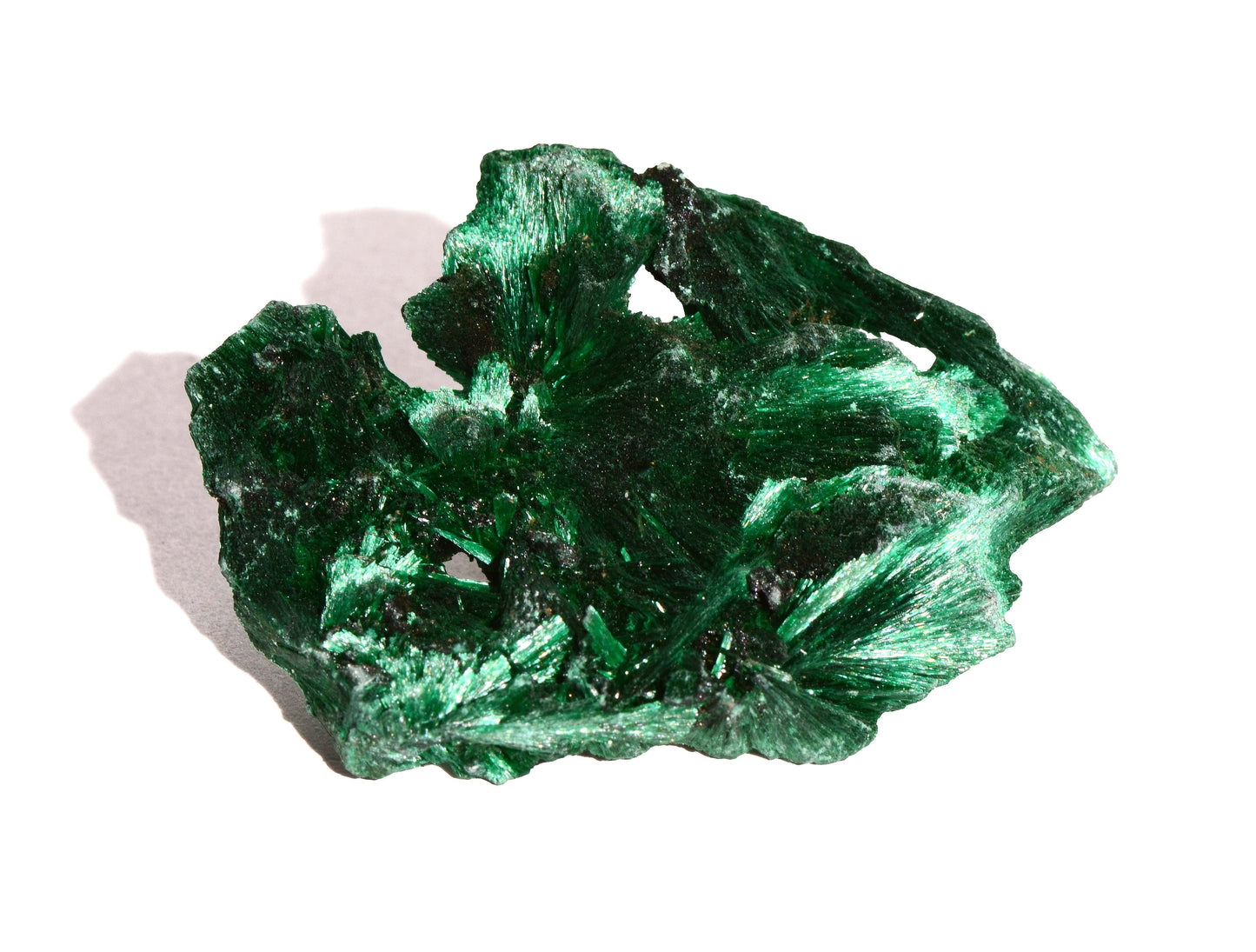 Malachite Velvet Small Form