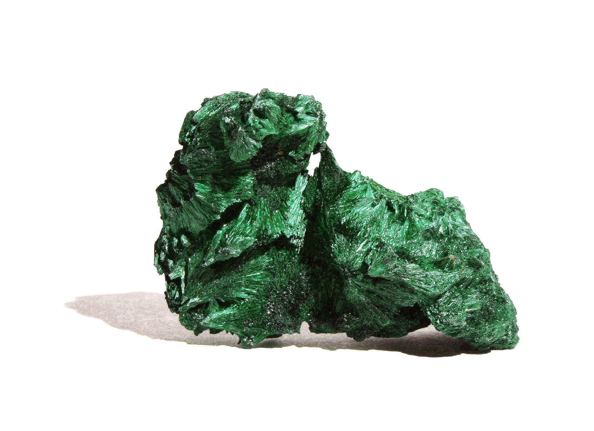 Malachite Velvet Medium Form