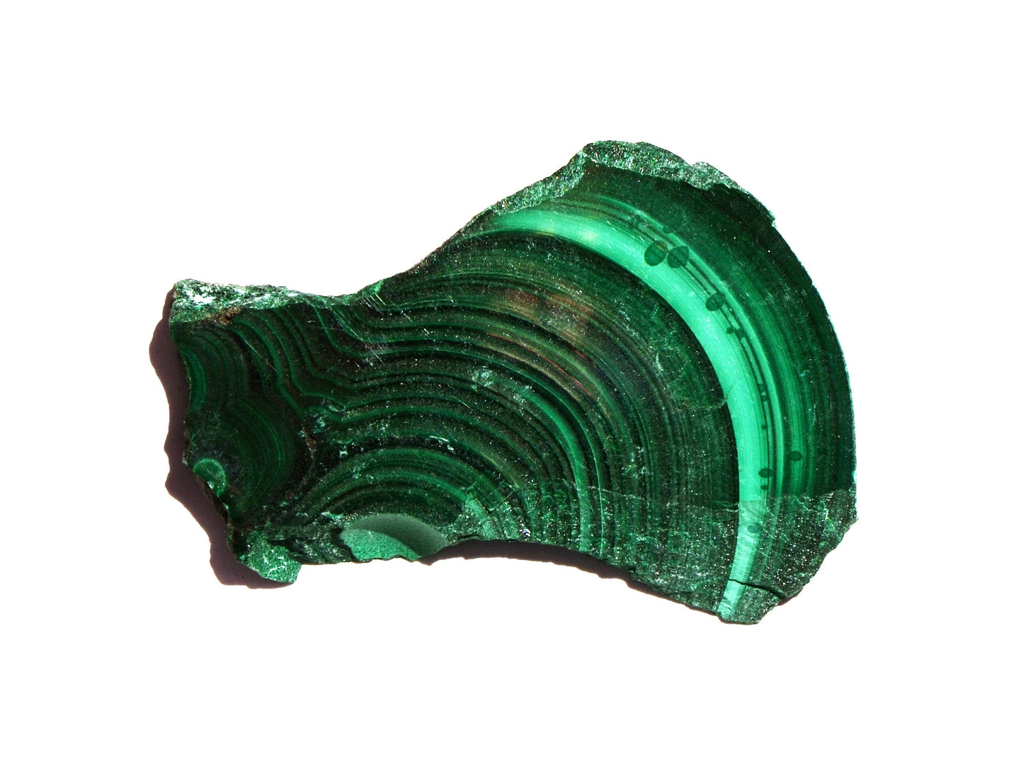 Malachite Slice - Polished