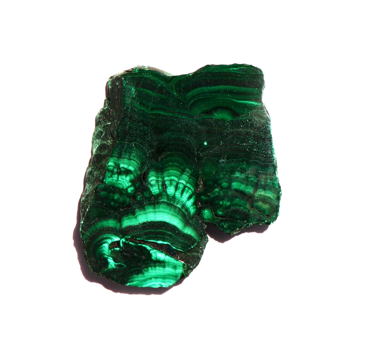 Malachite Slice - Polished