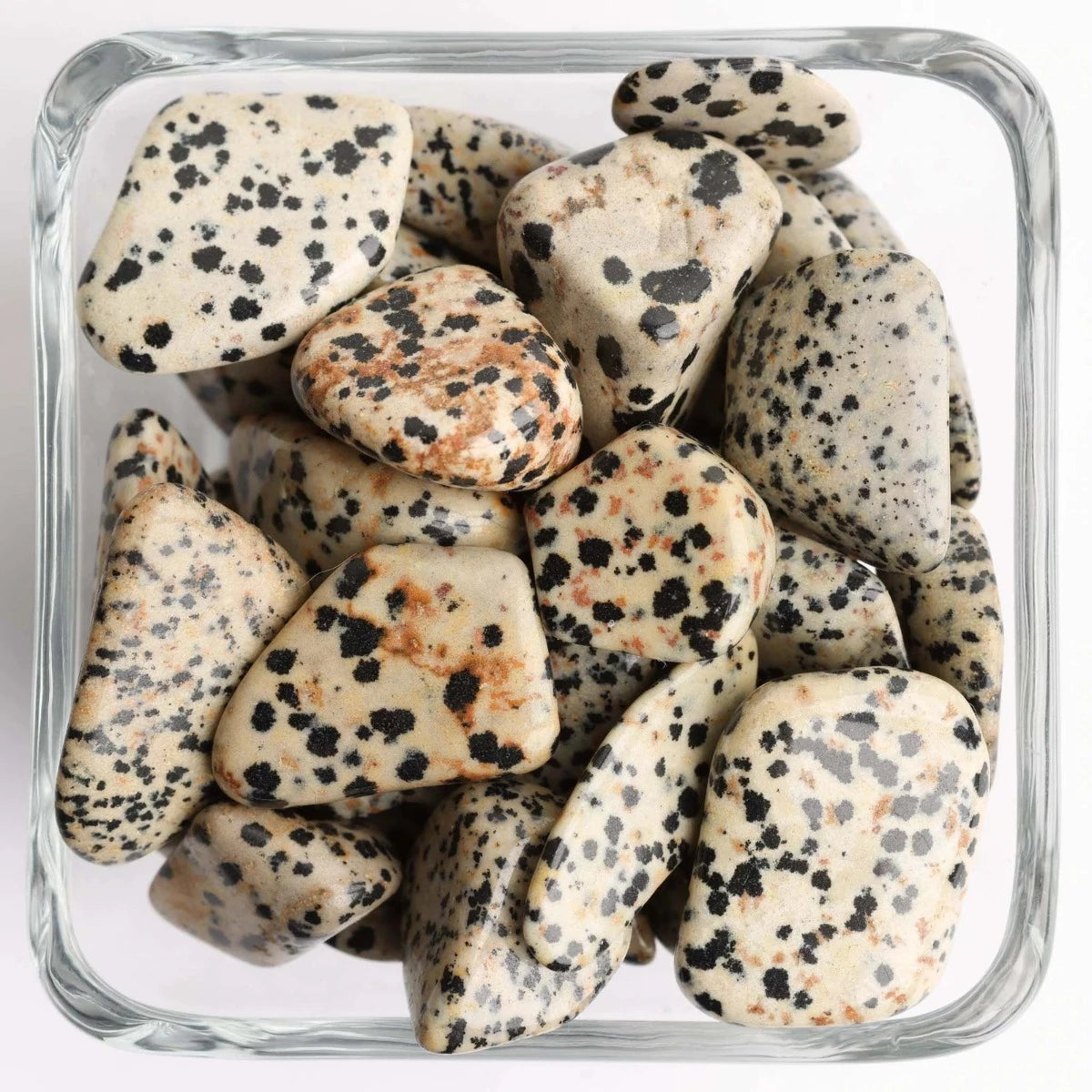 Dalmation Jasper Tumbled Stone - Small - Polished